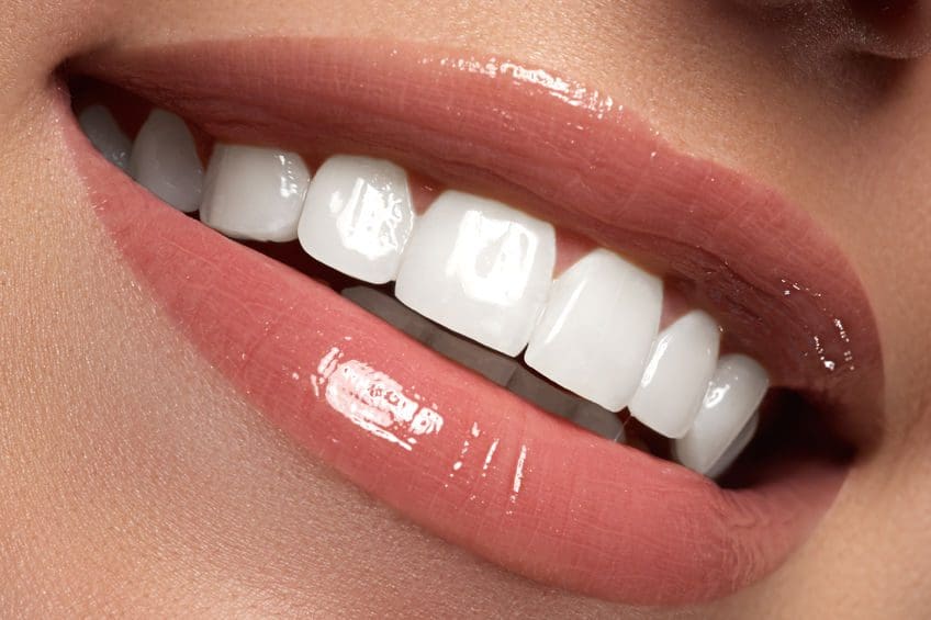 Adults have 32 teeth