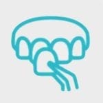 restorative dentistry, veneers